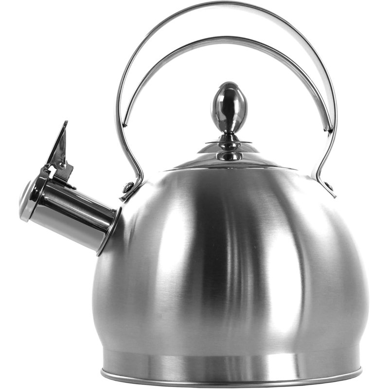 Bouilloire ORIXFORCE, Argent