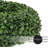 Faux Boxwood Wreath-63658148
