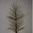 Birch Tree with Warm White LED Lights-63383336-63383337