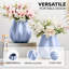 Curtavious Ceramic / Porcelain Floor Vase-1439823223