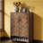 Shoe Cabinet, Storage Cabinet