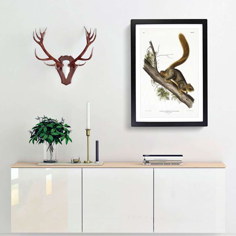 Red-Tailed Squirrel by J.W. Audubon - Picture Frame Painting Print, 48cm H x 36cm W x 2cm D, Black Framed