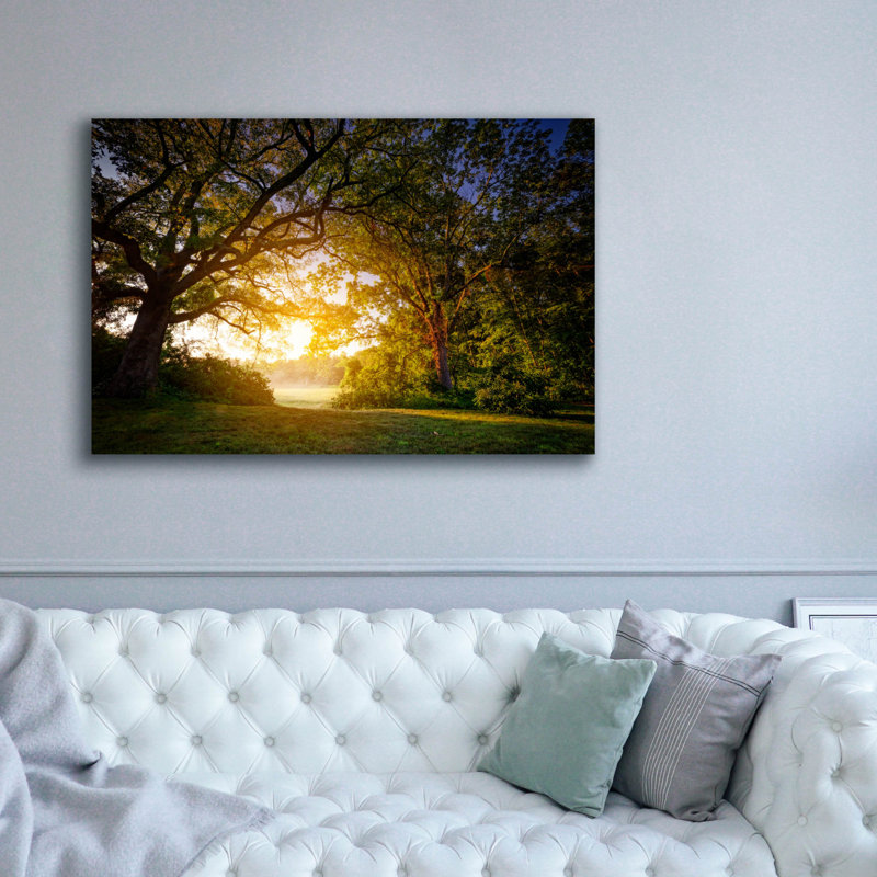 Toile épique «Sunrise Through The Trees» par Rick Berk