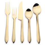 Estique Gold PVD 5 Pcs. Flatware Set