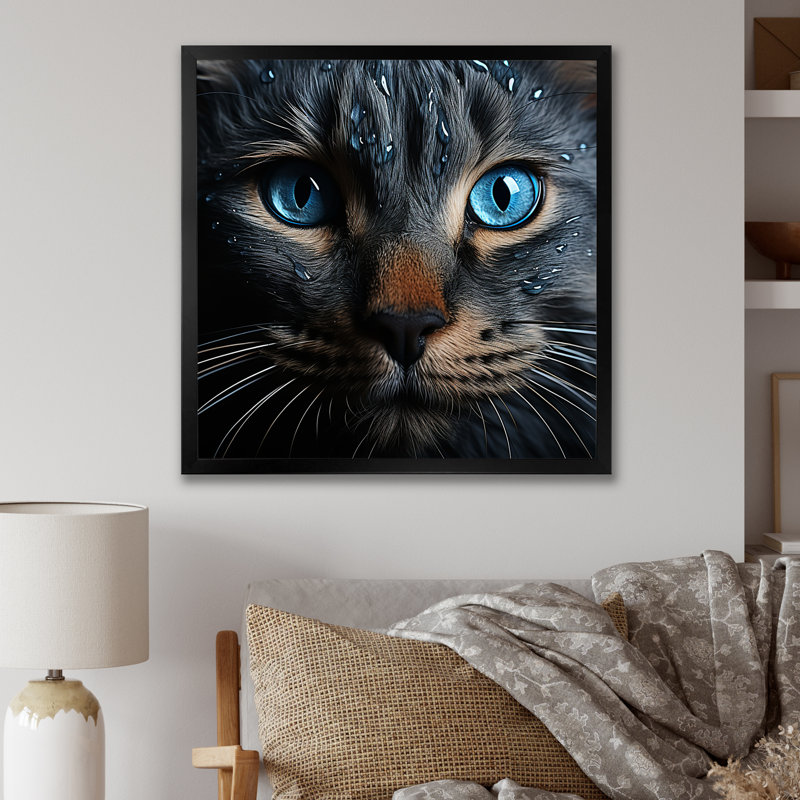 Chat, yeux bleus, chat, H 24 po x l 24 po x P 1 po, Cadre simple noir