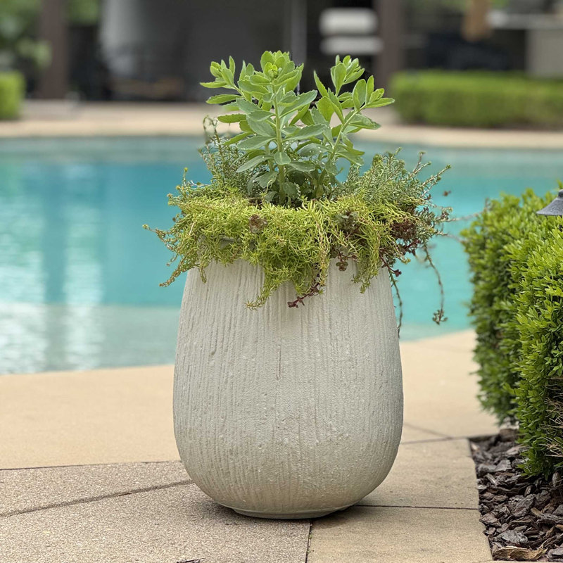 Pot de fleurs d'extérieur blanc cassé Uttermost Rustic Ridge