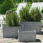 Ensemble de 3 pots à fleurs rectangulaires de 19,75 po Merton Acanthus