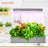 SereneLife 24 Watt Grow Light