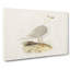 Icelandic Gull by Von Wright - Wrapped Canvas-55360325
