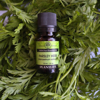 Lemon Verbena Essential Oil 30ml - SpaRoom