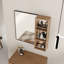 Armoire à miroir murale avec tablettes à 3 niveaux et garde-corps (l 10 po x H 27,56 po)