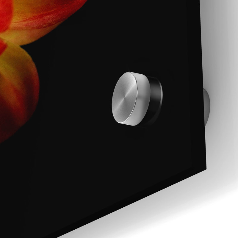 "Orange Dahlia On Black 01" par Tom Quartermaine, H 24 po x l 24 po x P 0,2 po