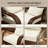 Patio Chair With Rattan Wicker, Soft Cushions, Tall Curved Backrest-1788328390-1788328388