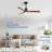 Nicola 52'' 3 - Blade Modern Ceiling Fan with Remote Control and Light Kit-1194857035