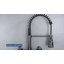 DORNBERG Pull Down Kitchen Faucet-93819659