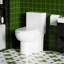 Toilette monobloc 1,28 GPF