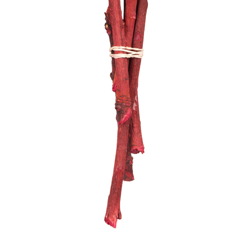 Vickerman 8-12" Red Rosette Compacta - Sleeved 5 stems, Dried, Red
