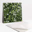 Astolfo 30 x 30 cm PVC Tile in Matte Green
