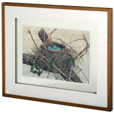 Custom Nesting II (MC) by John Butler Hand Embelished Textured Framed Art Print Matted under Glass