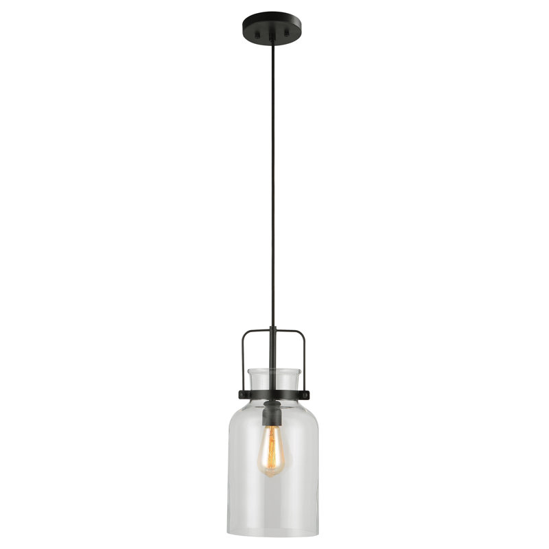 Luminaire suspendu bocal unique 1 lumière Nouvelle