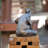 Animals Figurines & Sculptures