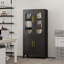 Armoire de rangement verrouillable polyvalente en fer-2032160620