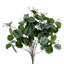 Andwele Arrangement