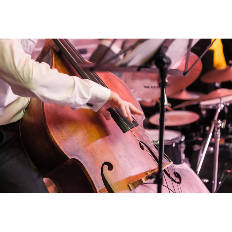 Hands And Contrabass - Wrapped Canvas Print, 81cm H x 122cm W x 3.8cm D