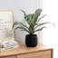 Artificial Plant