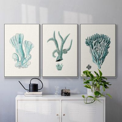 Antique Coastal Coral X, impression sur toile 3 pièces