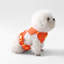 Harnais pour animal de compagnie Arlo-112400932-133570098