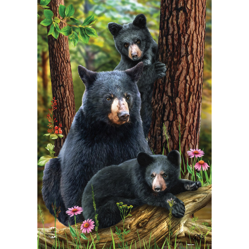 Drapeau de la famille de l'ours noir
