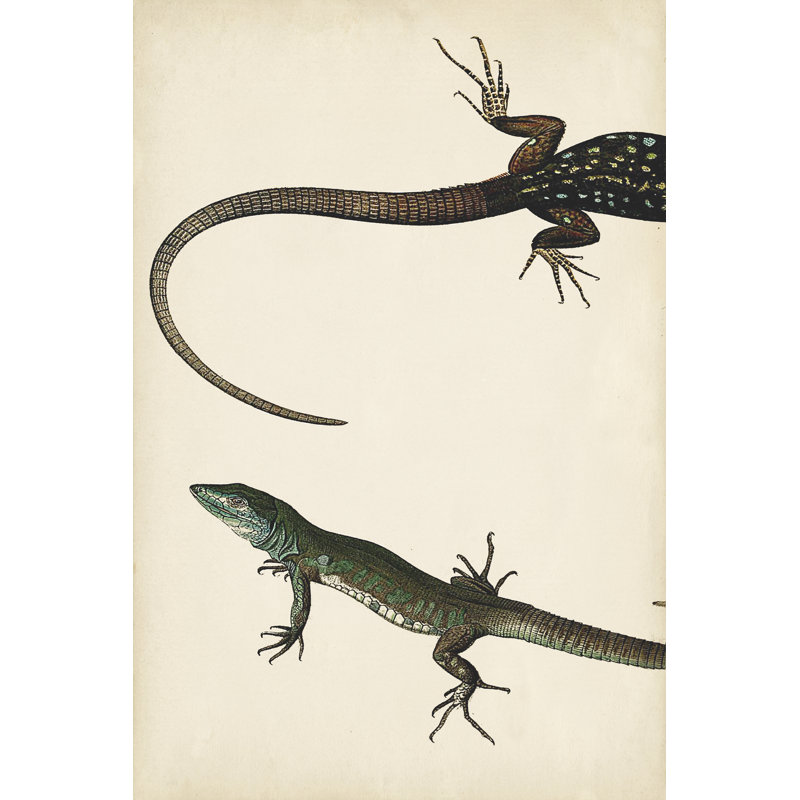 Lizard Diptych I 1 Piece Wrapped Canvas Painting, 30cm H x 20cm W