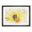 Bee Collecting Pollen Watercolour - Framed Print-56739646-56739658