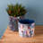 Gurnek Pot Planter