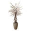 Fleur de cerisier et arbre en bois dragon dans un pot en corde