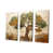 Toile tendue