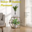 Support pour plante Casandra