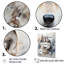 Siberian Dog Serenity II sur impression sur toile-1749028236-1778423290