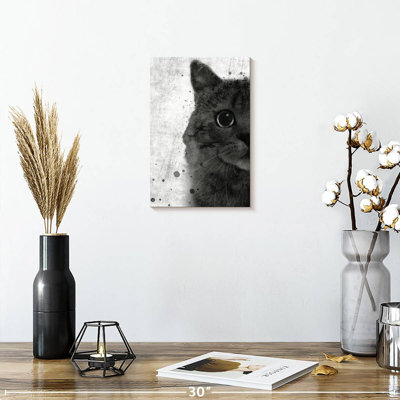 Brampt Black And White Cat