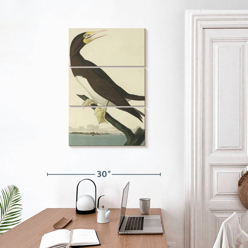 Brampt Booby Gannet, 32" H x 20" W