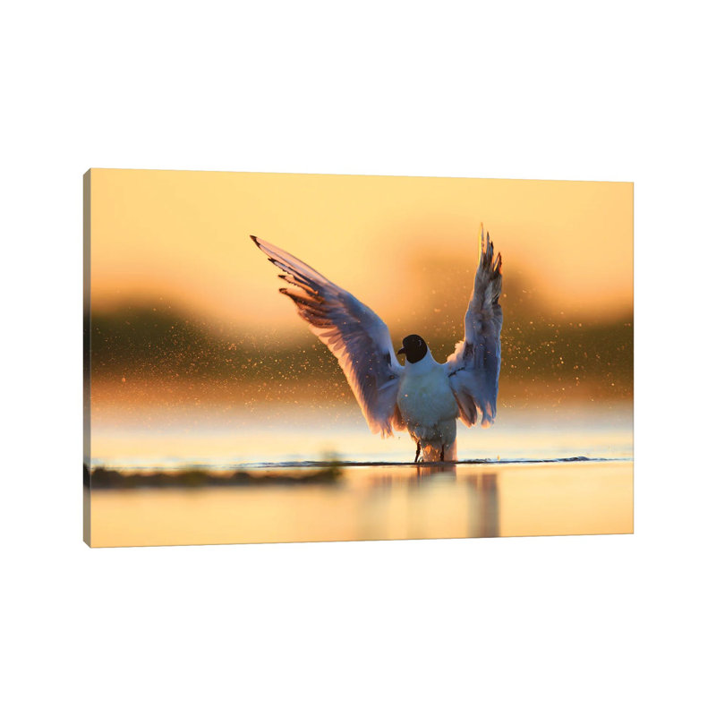 Conductor by Mateusz Piesiak - Wrapped Canvas Print, 30.48cm H x 45.72cm W x 1.9cm D