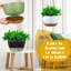 6 pots à fleurs suspendus 11,2 pouces
