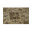 Wool Oriental Area Rug in Sand