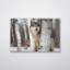 Loup gris - reproduction d'art animalier sur toile - Portrait de loup, affiche sur toile - Illustration de forêt naturelle - Décoration chalet rustique-1058081908-1058081909
