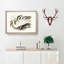 Australian Egret by Elizabeth Gould - Single Picture Frame Painting-55456810-55456811