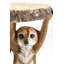 Side Table Animal Meerkat Sisters 33cm