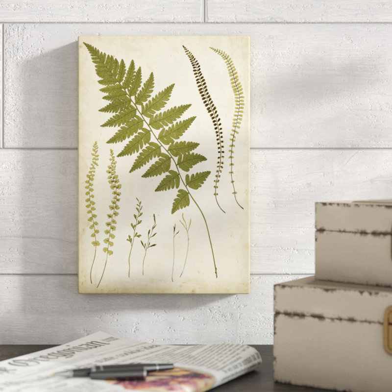 «Fern Portfolio II», peinture sur toile, H 12 po x l 8 po