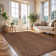 Brown Indoor/Outdoor Rug