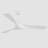 Elnathan 52'' Ceiling Fan-609177715-609177714